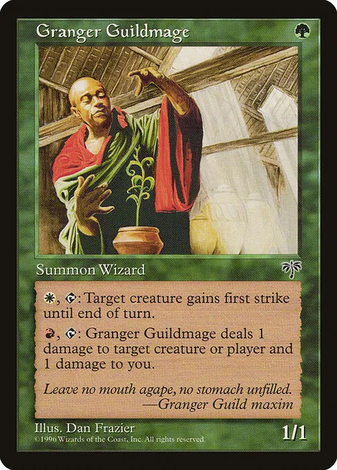 Granger Guildmage 220/350