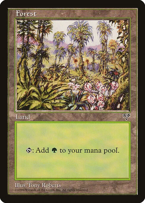 Forest 347/350