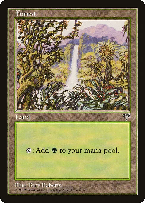 Forest 348/350