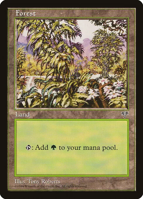 Forest 349/350