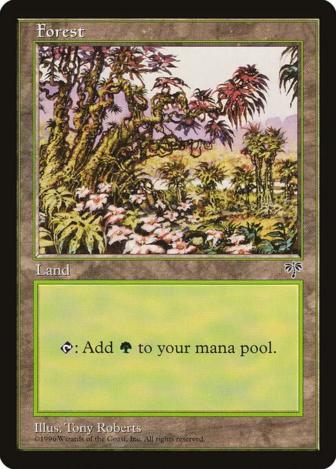 Forest 350/350