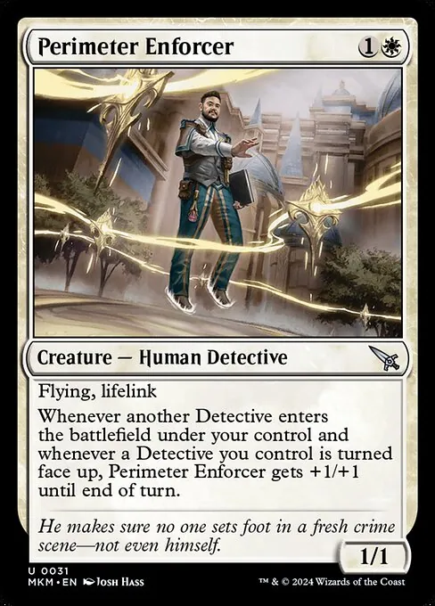 Perimeter Enforcer 031/286
