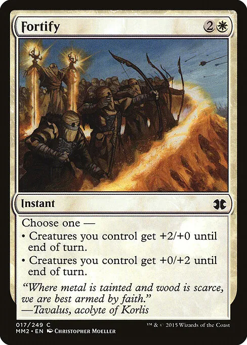Fortify 017/249