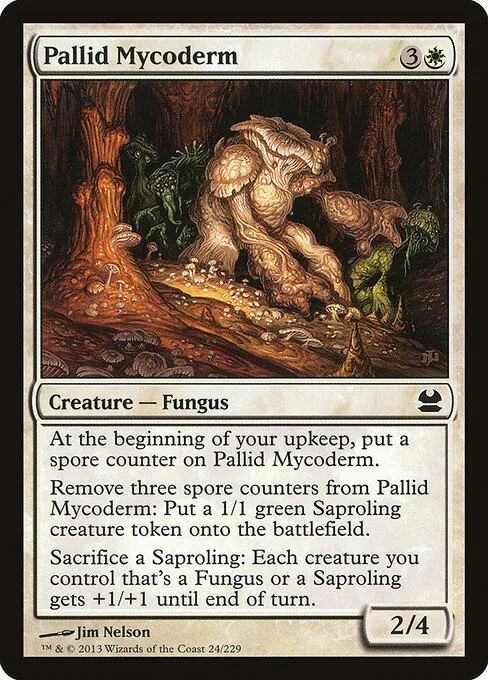 Pallid Mycoderm 024/229