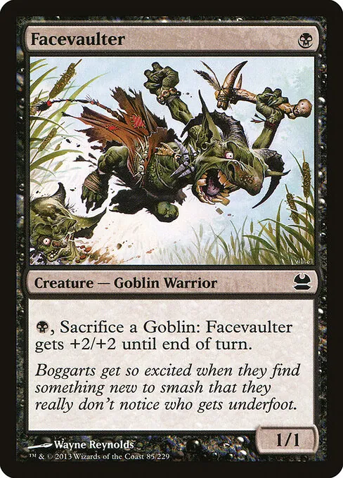 Facevaulter 085/229