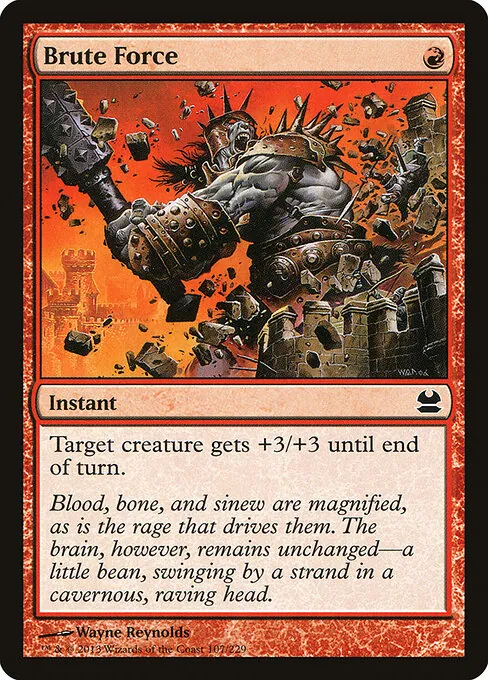 Brute Force 107/229