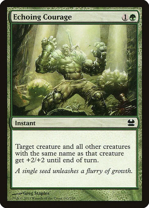 Echoing Courage 143/229