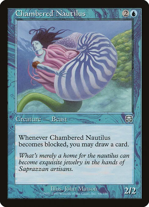 Chambered Nautilus 064/350