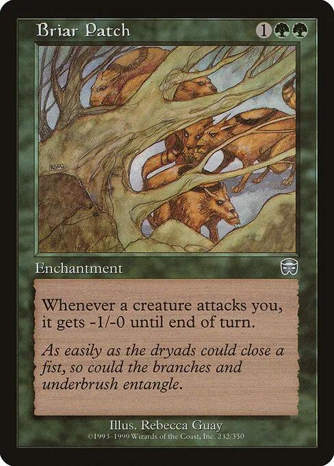 Briar Patch 232/350