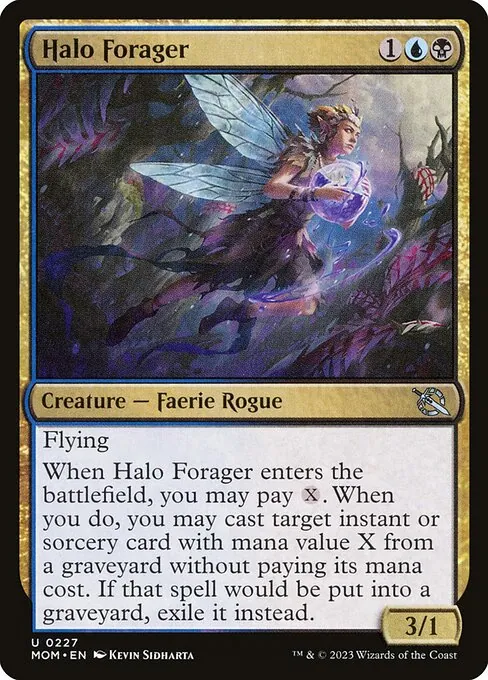 Halo Forager 227/306