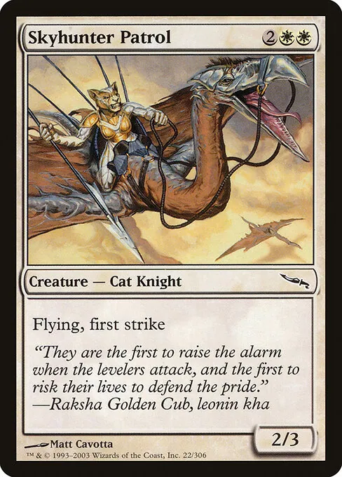 Skyhunter Patrol 022/306