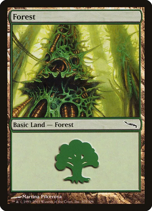 Forest 305/306