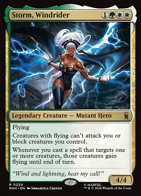 Storm, Windrider 230/296