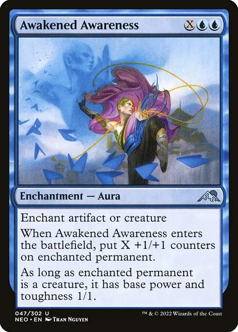 Awakened Awareness 047/302
