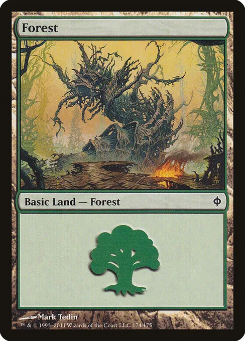 Forest 174/175