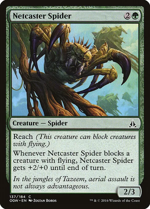 Netcaster Spider 137/184