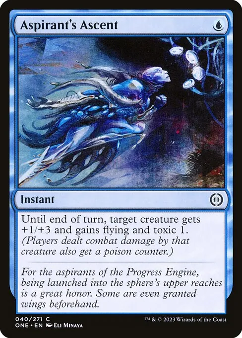 Aspirant's Ascent 040/271
