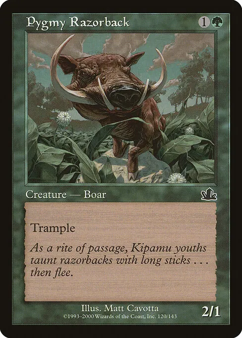 Pygmy Razorback 120/143