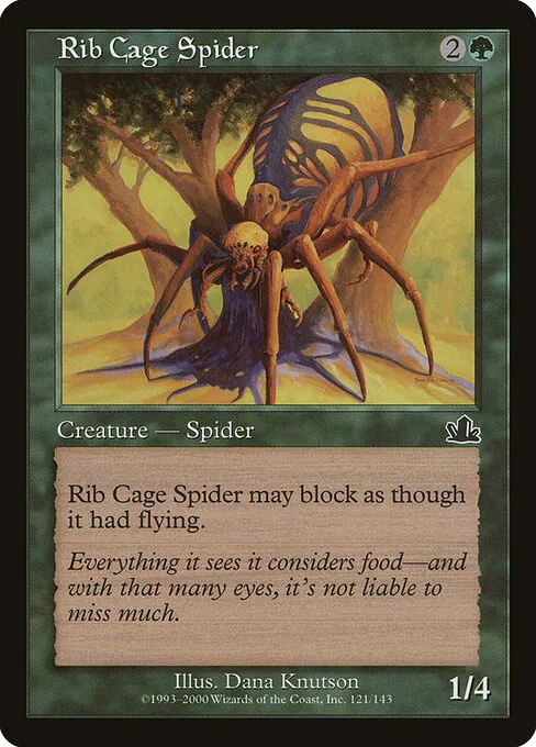 Rib Cage Spider 121/143