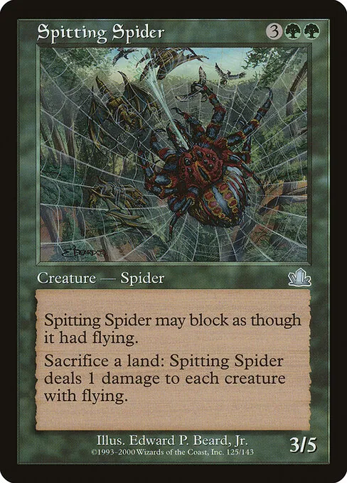 Spitting Spider 125/143
