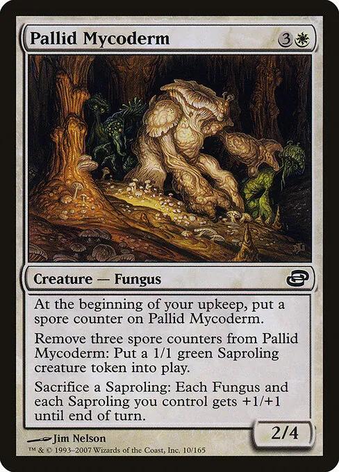 Pallid Mycoderm 010/165