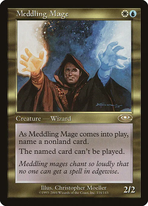 Meddling Mage 116/143