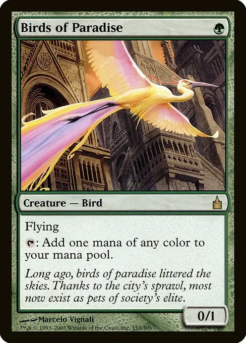 Birds of Paradise 153/306