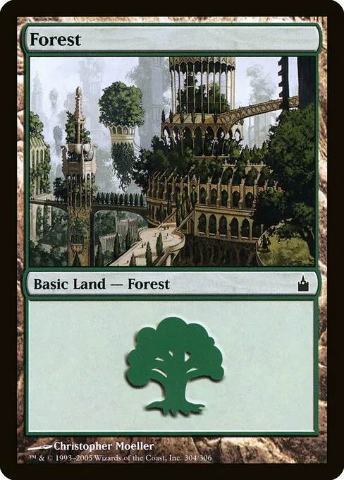 Forest 304/306