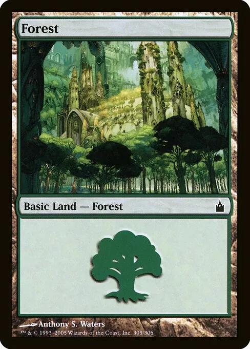 Forest 305/306