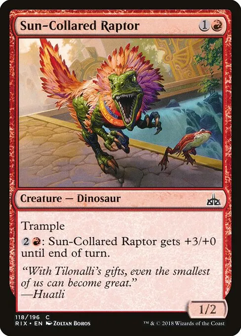 Sun-Collared Raptor 118/196