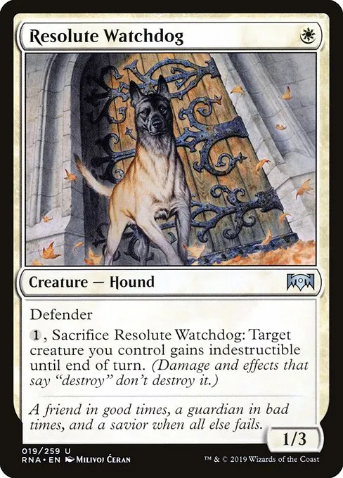 Resolute Watchdog 019/259