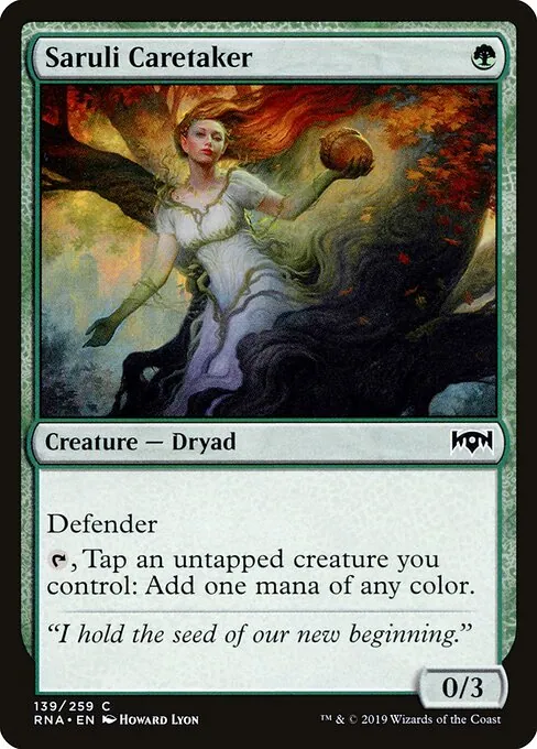 Saruli Caretaker 139/259
