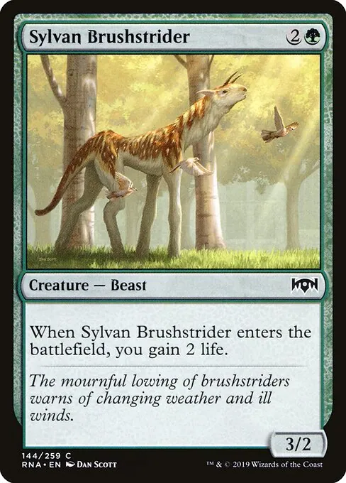 Sylvan Brushstrider 144/259