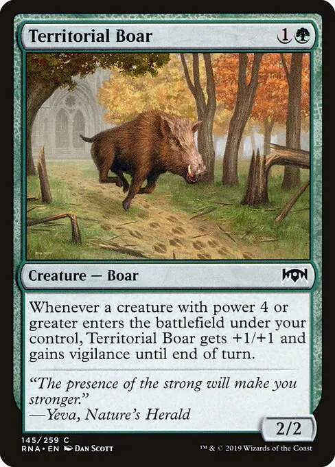 Territorial Boar 145/259