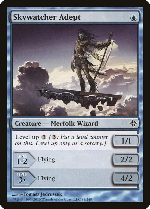 Skywatcher Adept 088/248