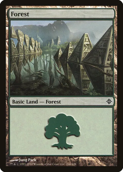 Forest 246/248