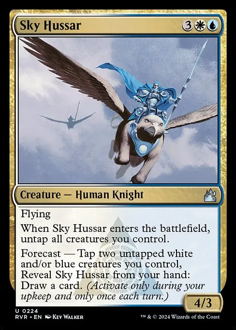 Sky Hussar 224/291