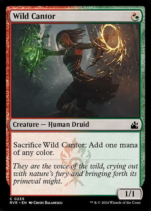 Wild Cantor 239/291