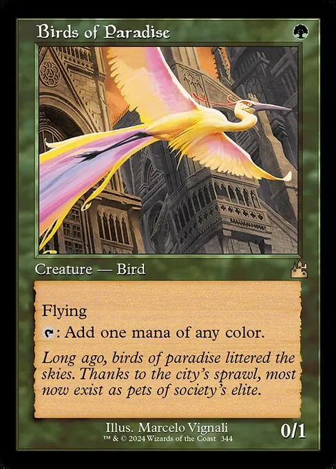 Birds of Paradise 344/291