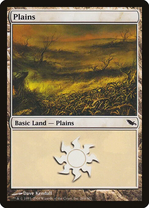 Plains 284/301
