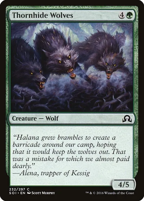 Thornhide Wolves 232/297