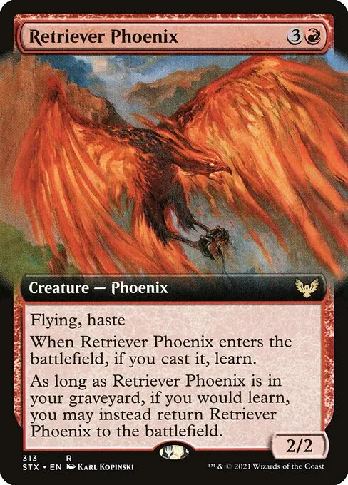 Retriever Phoenix 313/275