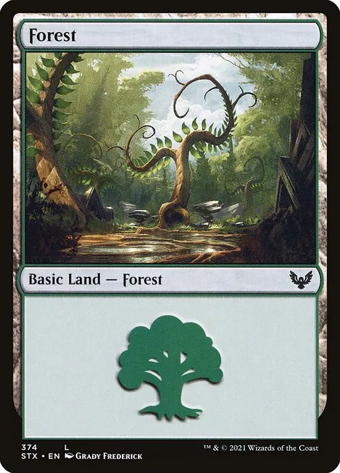 Forest 374/275