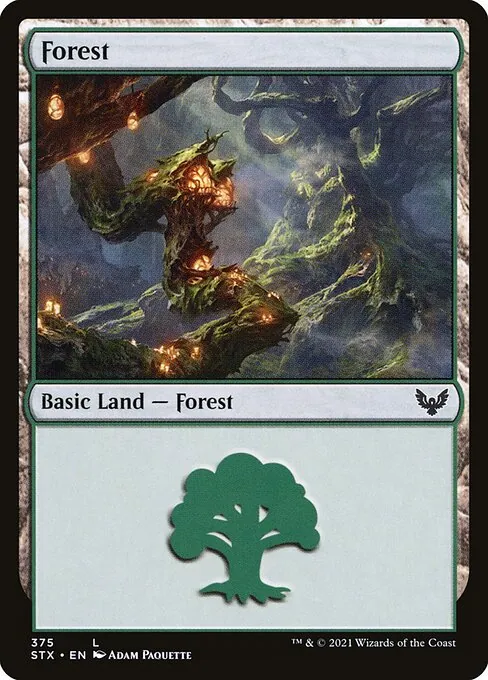 Forest 375/275