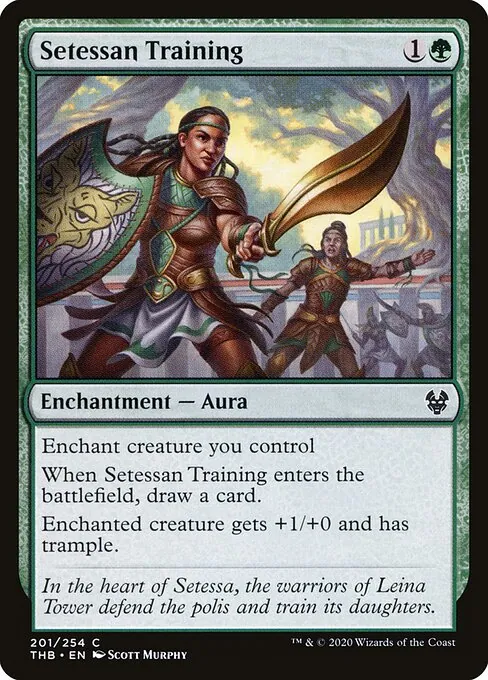 Setessan Training 201/283
