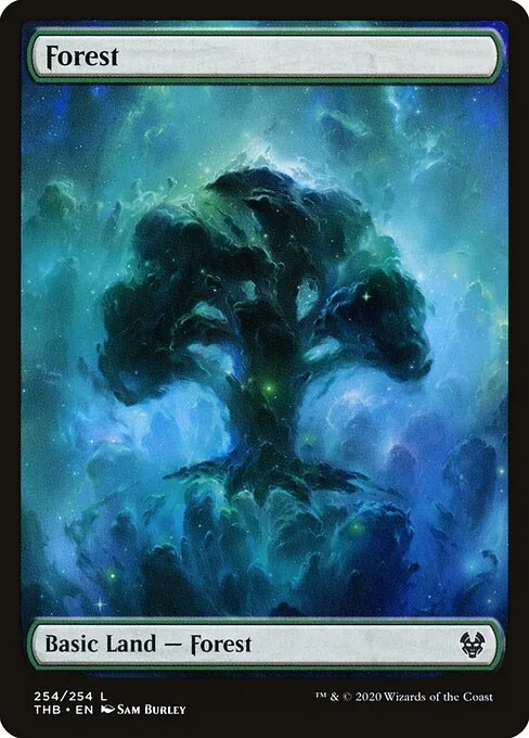 Forest 254/283
