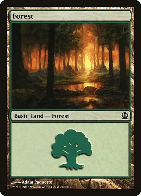Forest 248/249