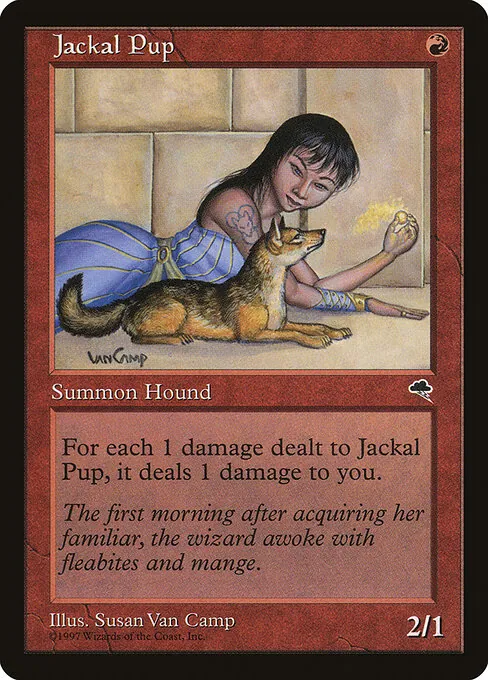 Jackal Pup 183/357