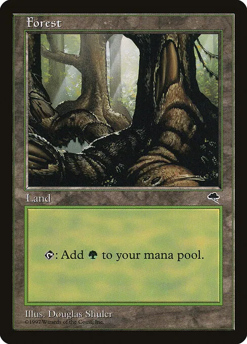 Forest 348/357