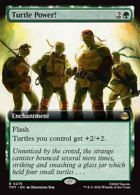 Turtle Power! 275/205
